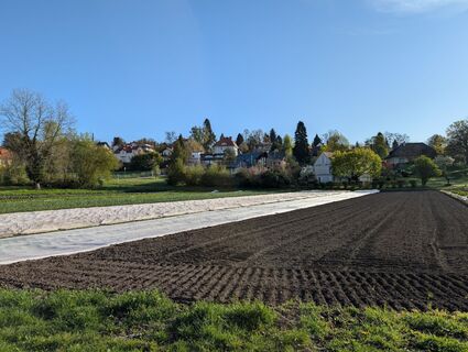 Zdjęcie z Phil wzdłuż trasy