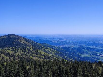 Blick  über den Vogelsang in Richtung Deggendorf