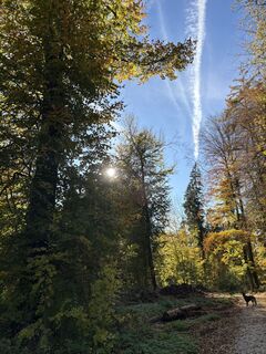 Foto von Heidi Weichhart entlang der Tour