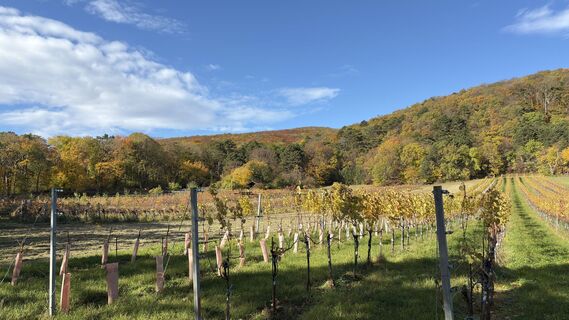 Fotografia z Raphael Höller na trase