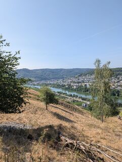 Fotografija s spletne strani Arne Schlieder na poti