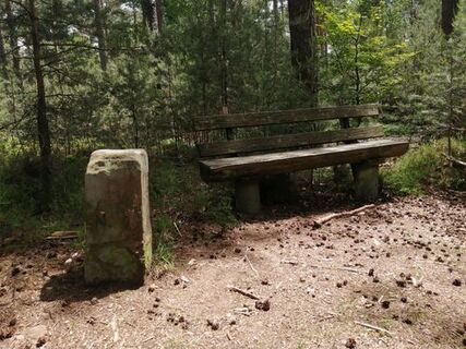 Waldfroschweg Grenzstein mit Bank
