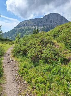 Kuva osoitteesta Dagmar Hofer matkan varrella