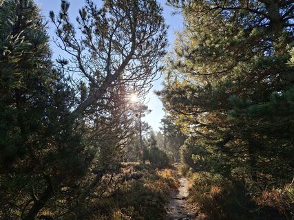 Fotografia z Christian Krebs na trase