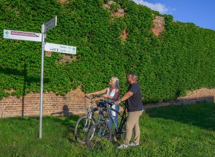 Fahrradwegweiser bei Zerbst/Anhalt