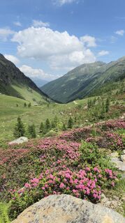 Fotografija s spletne strani Sebastian na poti
