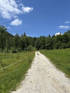 Foto von Heinz Sperl entlang der Tour