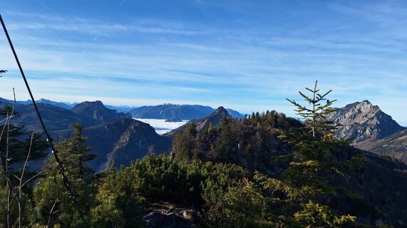 Photo de Regina Fleischmann le long du parcours