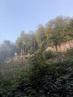 Foto von Keven Schimberg entlang der Tour
