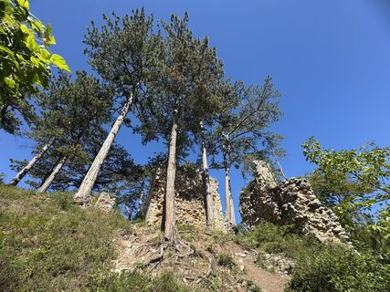 Фото с сайта Gerhard Piglmann во время экскурсии