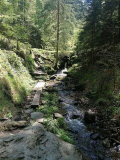 Fotografie z Dagmar Hofer na trase