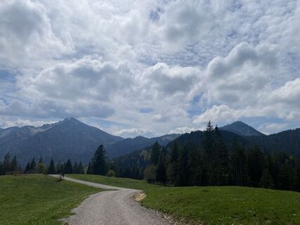 Foto von Sven Krieblin entlang der Tour