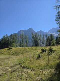 Fotografija s spletne strani Damir Habuš na poti