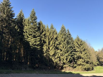 Zdjęcie z Nina Astleitner wzdłuż trasy