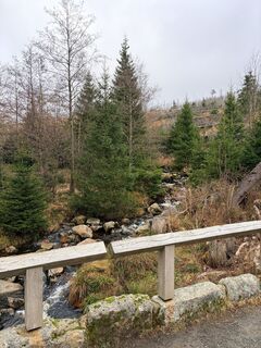 Foto de TallWanderBilly a lo largo del recorrido