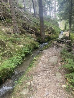Foto von Silke entlang der Tour