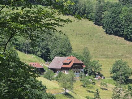 Fotografija s spletne strani Noreen (NoKe) na poti
