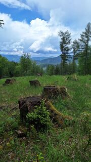 Foto från Aga M under resans gång