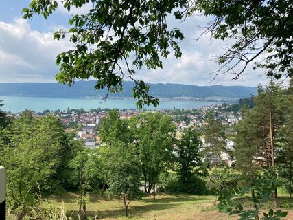 Blick auf Ludwigshafen