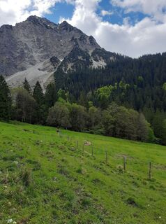Foto von wanderheld_2468 entlang der Tour