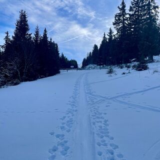 Gelände im Startbereich