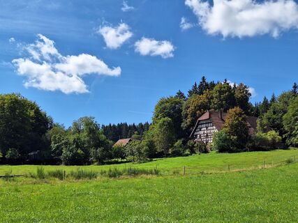 Foto de Katharina a lo largo del recorrido