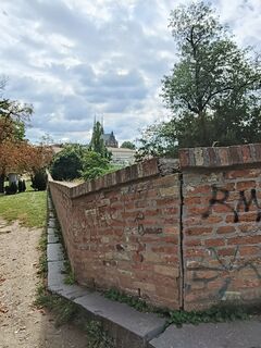 Zdjęcie z Anna Korzeniewska wzdłuż trasy