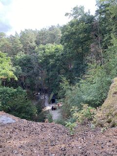 Photo de wappa le long du parcours