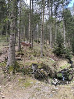 Foto fra Ildikó Dávidné Nagy undervejs på turen