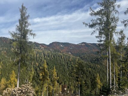 Fotografija s spletne strani tabaszabi na poti