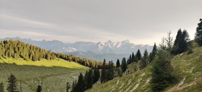 Fotografie z Andrea Flechl na trase