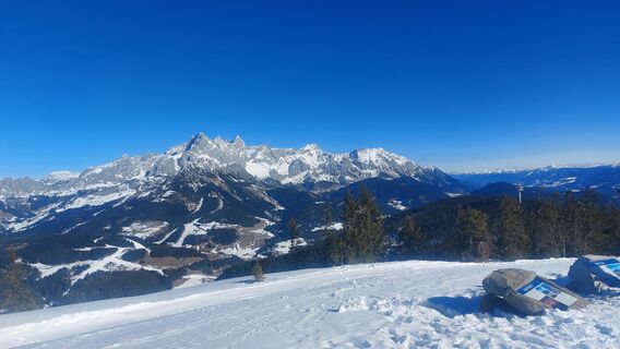 Fotografija s spletne strani Karin Svozil na poti