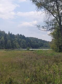 Foto von Susanne Linzbacher entlang der Tour
