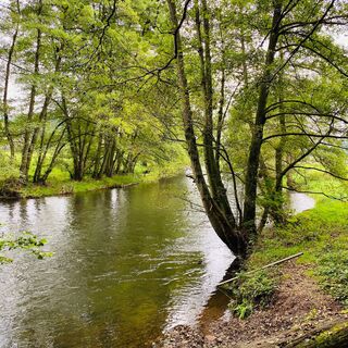 Der Fluss Rur am Rande des Hetzinger Waldes