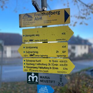Freithofberg-Trail - Maria Neustift