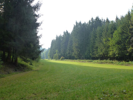 HI_RW1_P1070649_SichtReichenbachtal_FotoVF