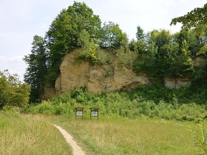 NSG Doberg