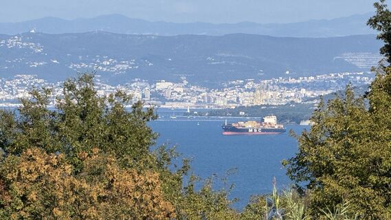 Fotografia z Wilhelm na trase