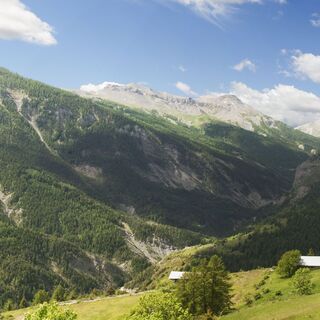 Vallée de l'Ardon (Demandols)