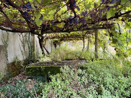 Fotografia z Heike Hadamus na trase