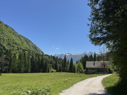Foto von Borsos K entlang der Tour