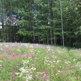 Lauttavaara, Lentua Kuhmo Finnland