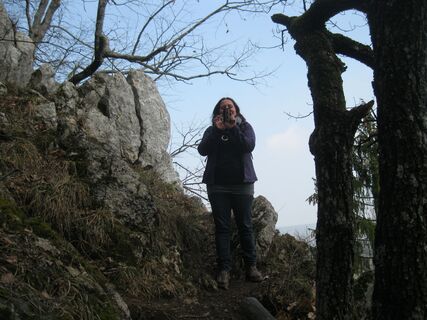 Dreistätten - Hergottschnitzerhaus - Kohlröserlhaus