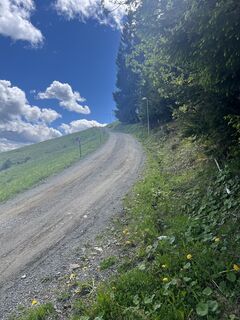 Photo de Zoran Dujakovic le long du parcours