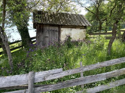 Foto de Martino68 a lo largo del recorrido