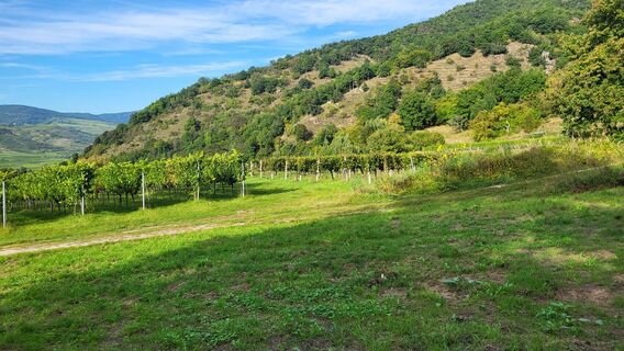 Fotografie de la Hans de-a lungul turului