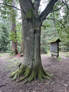Foto fra Martin.Salber underveis på turen