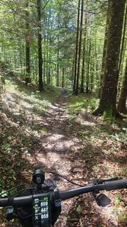 Foto von Johann Schallinger entlang der Tour