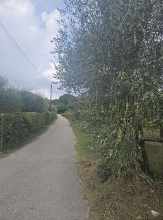 Photo de Eli le long du parcours