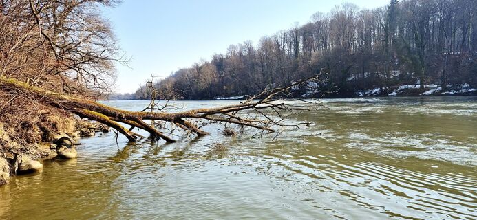 Photo de Sandy le long du parcours